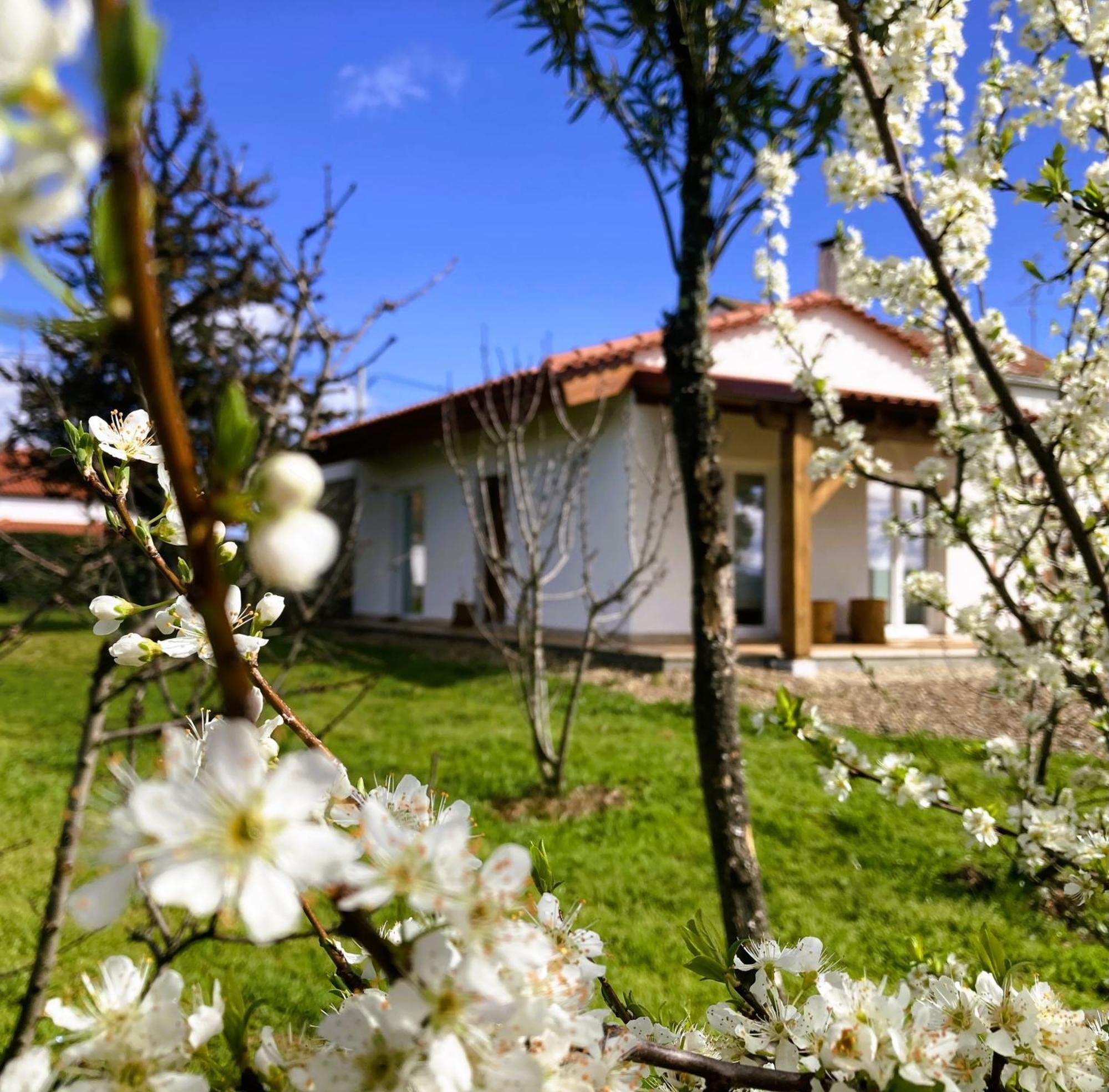 Villa Ar Da Beira Belmonte  Exterior foto